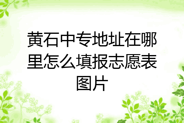 黄石中专地址在哪里怎么填报志愿表图片
