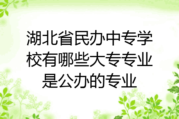 湖北省民办中专学校有哪些大专专业是公办的专业