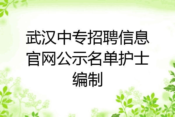 武汉中专招聘信息官网公示名单护士编制
