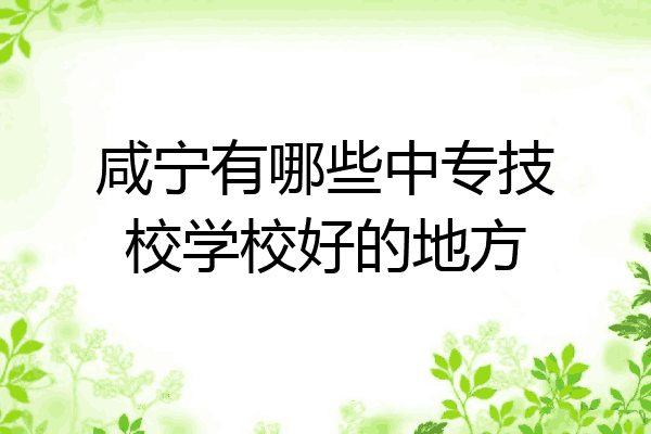 咸宁有哪些中专技校学校好的地方