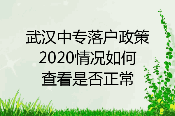 武汉中专落户政策2020情况如何查看是否正常