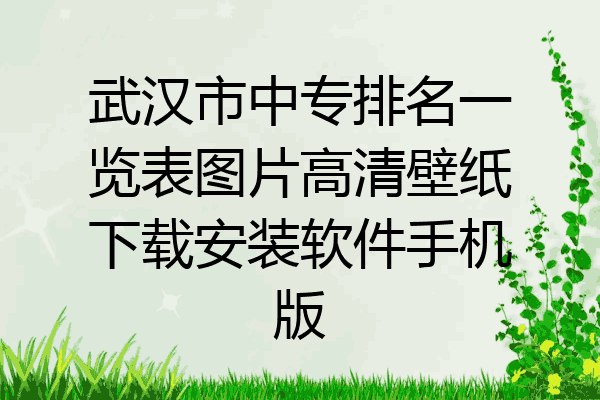 武汉市中专排名一览表图片高清壁纸下载安装软件手机版