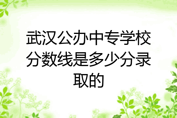 武汉公办中专学校分数线是多少分录取的