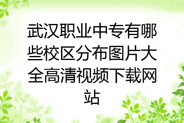 武汉职业中专有哪些校区分布图片大全高清视频下载网站