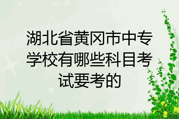湖北省黄冈市中专学校有哪些科目考试要考的