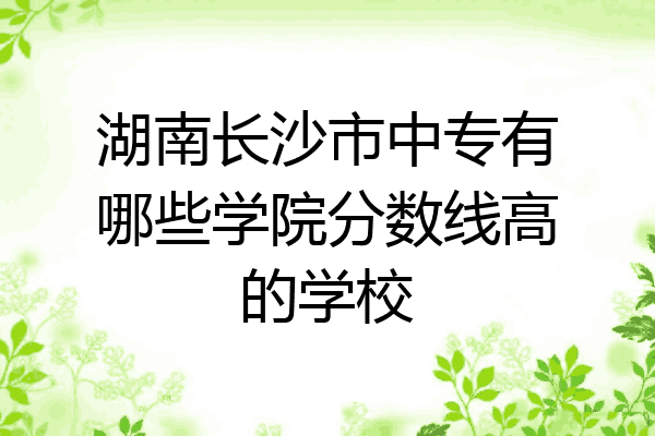 湖南长沙市中专有哪些学院分数线高的学校