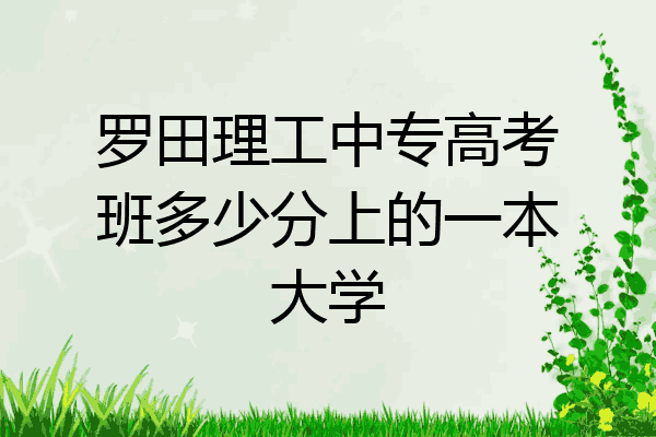 罗田理工中专高考班多少分上的一本大学