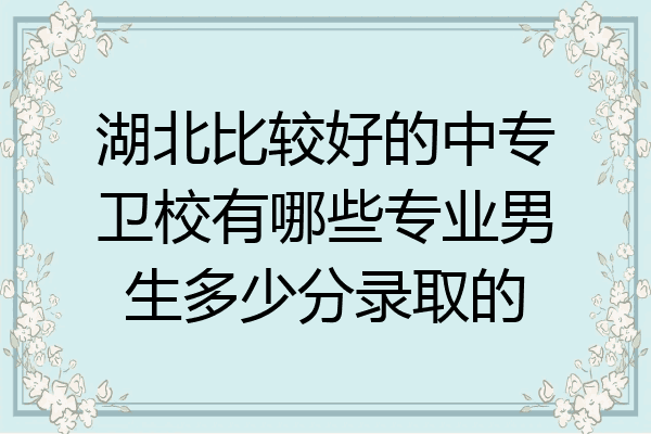 湖北比较好的中专卫校有哪些专业男生多少分录取的