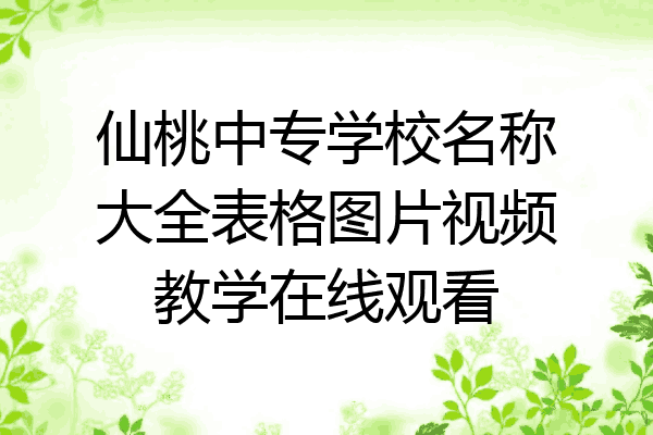 仙桃中专学校名称大全表格图片视频教学在线观看