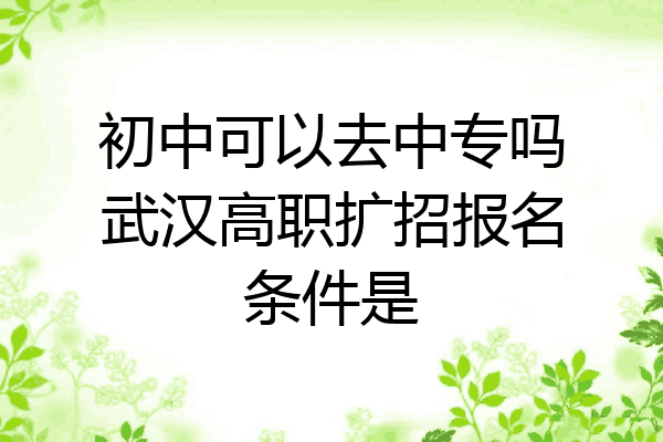 初中可以去中专吗武汉高职扩招报名条件是