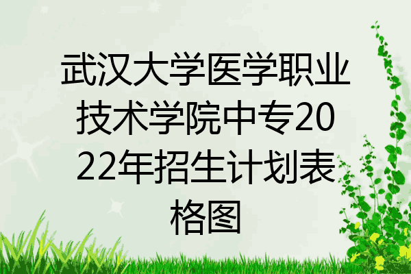 武汉大学医学职业技术学院中专2022年招生计划表格图