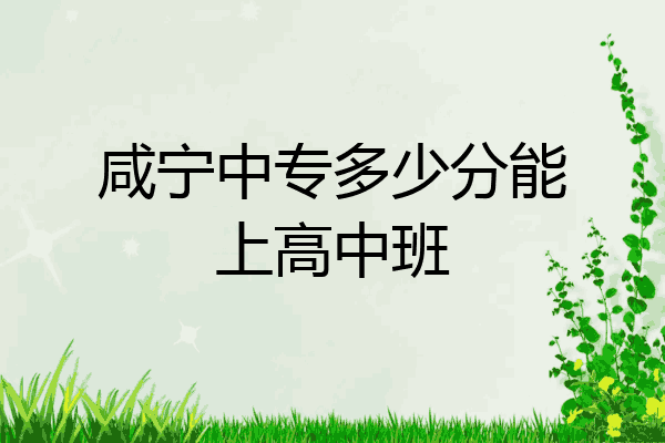 咸宁中专多少分能上高中班