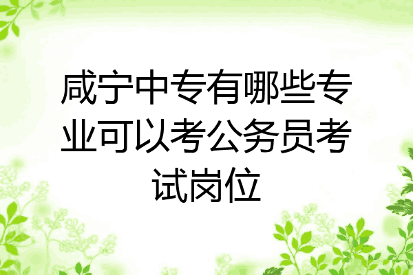 咸宁中专有哪些专业可以考公务员考试岗位