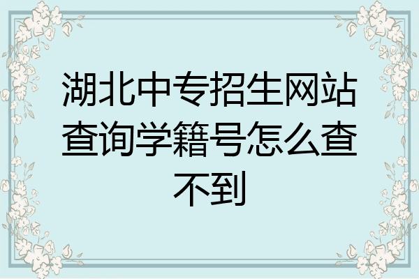 湖北中专招生网站查询学籍号怎么查不到