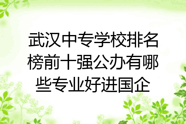 武汉中专学校排名榜前十强公办有哪些专业好进国企