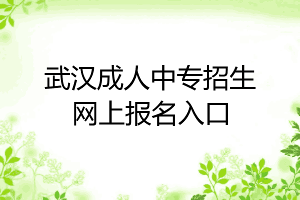武汉成人中专招生网上报名入口