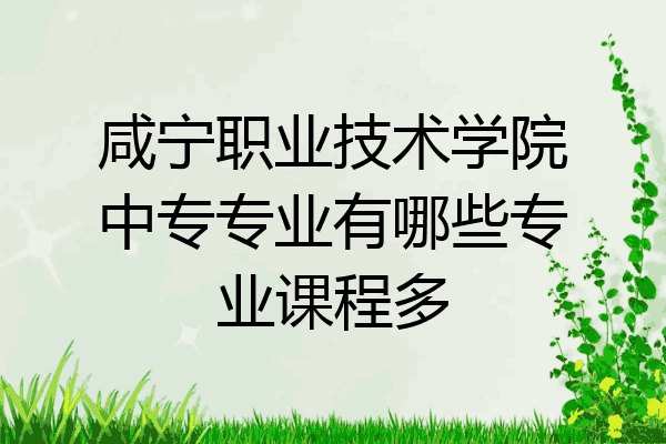 咸宁职业技术学院中专专业有哪些专业课程多