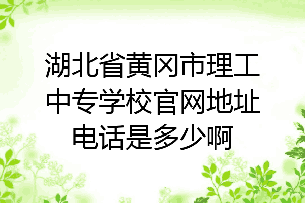 湖北省黄冈市理工中专学校官网地址电话是多少啊