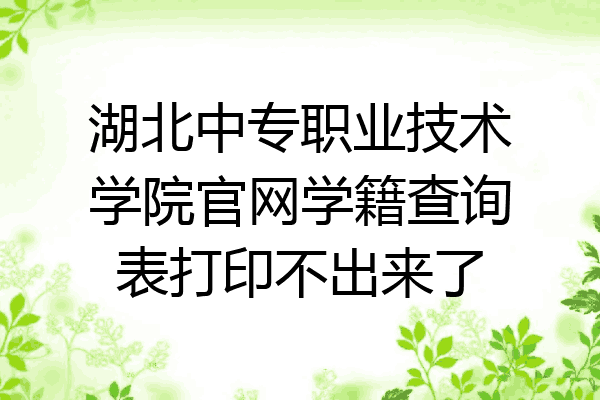 湖北中专职业技术学院官网学籍查询表打印不出来了