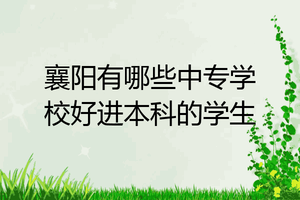 襄阳有哪些中专学校好进本科的学生
