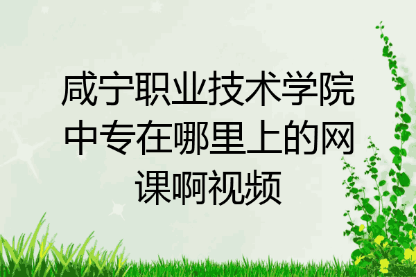 咸宁职业技术学院中专在哪里上的网课啊视频