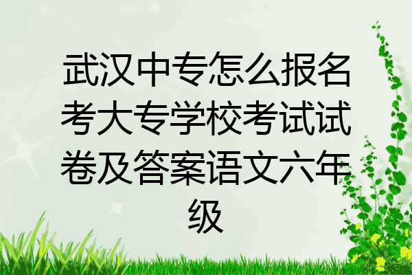 武汉中专怎么报名考大专学校考试试卷及答案语文六年级