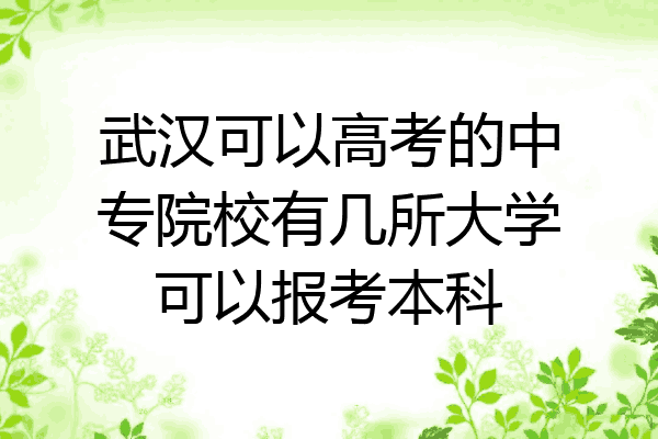 武汉可以高考的中专院校有几所大学可以报考本科