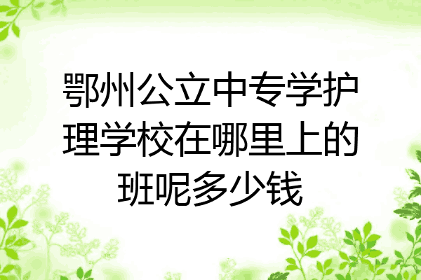 鄂州公立中专学护理学校在哪里上的班呢多少钱