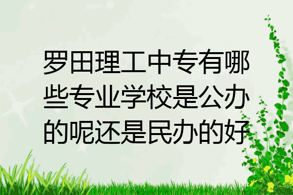 罗田理工中专有哪些专业学校是公办的呢还是民办的好