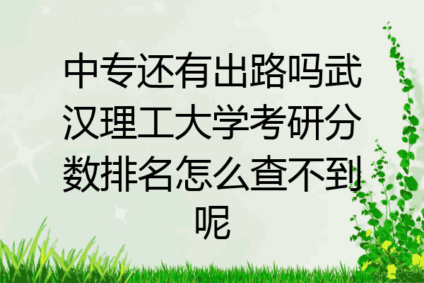 中专还有出路吗武汉理工大学考研分数排名怎么查不到呢