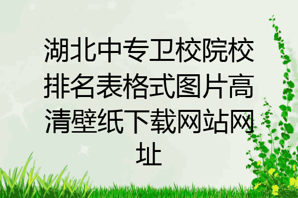 湖北中专卫校院校排名表格式图片高清壁纸下载网站网址