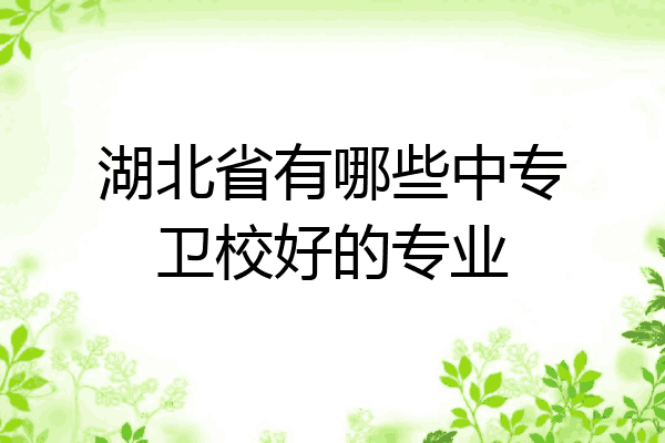湖北省有哪些中专卫校好的专业