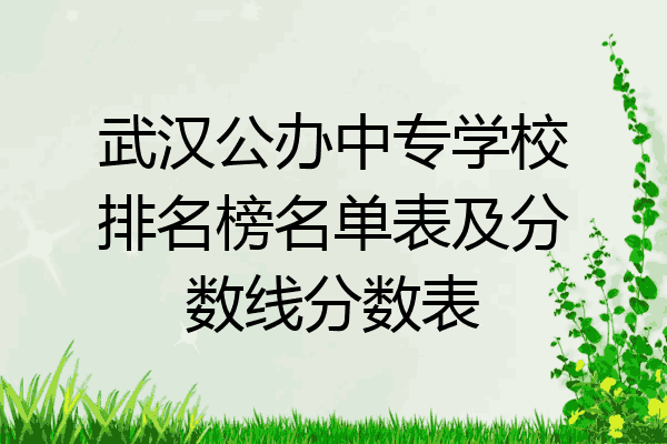 武汉公办中专学校排名榜名单表及分数线分数表