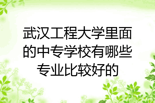 武汉工程大学里面的中专学校有哪些专业比较好的