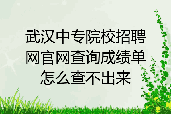 武汉中专院校招聘网官网查询成绩单怎么查不出来
