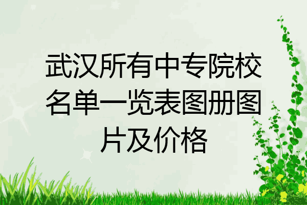 武汉所有中专院校名单一览表图册图片及价格