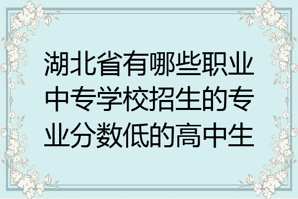 湖北省有哪些职业中专学校招生的专业分数低的高中生