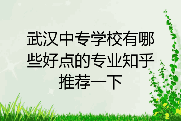武汉中专学校有哪些好点的专业知乎推荐一下