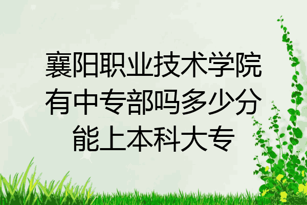 襄阳职业技术学院有中专部吗多少分能上本科大专