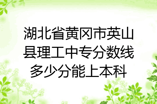 湖北省黄冈市英山县理工中专分数线多少分能上本科