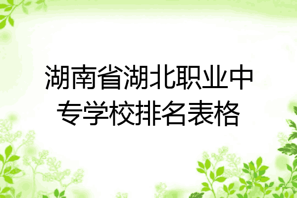 湖南省湖北职业中专学校排名表格
