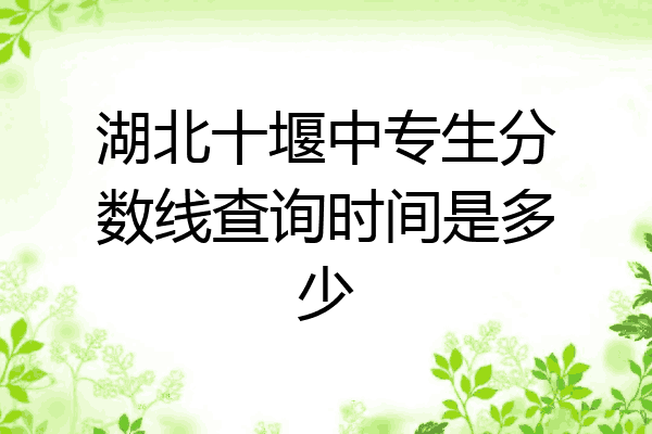 湖北十堰中专生分数线查询时间是多少