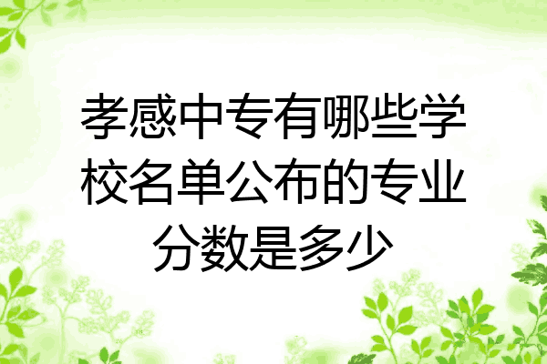 孝感中专有哪些学校名单公布的专业分数是多少