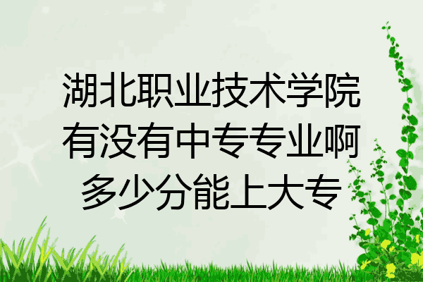湖北职业技术学院有没有中专专业啊多少分能上大专