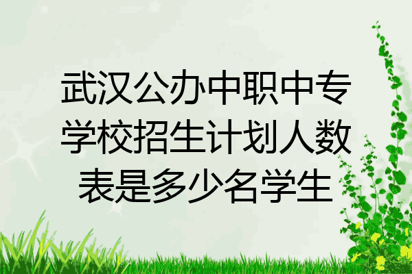 武汉公办中职中专学校招生计划人数表是多少名学生