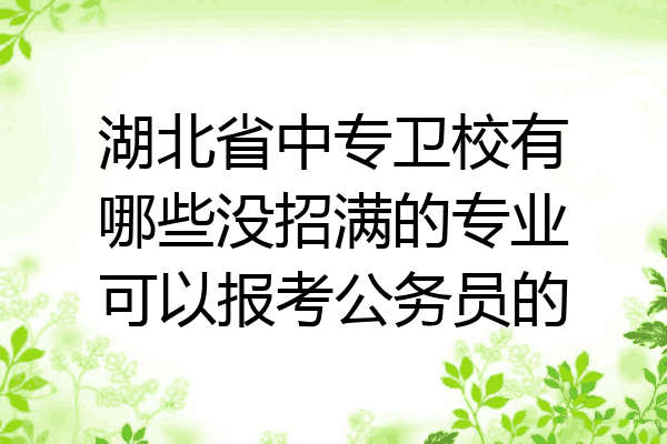 湖北省中专卫校有哪些没招满的专业可以报考公务员的