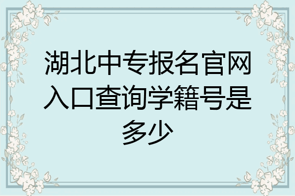湖北中专报名官网入口查询学籍号是多少