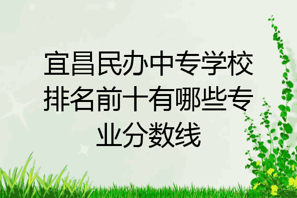 宜昌民办中专学校排名前十有哪些专业分数线