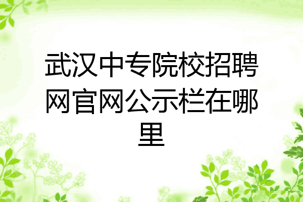 武汉中专院校招聘网官网公示栏在哪里