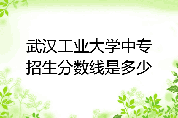 武汉工业大学中专招生分数线是多少